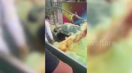 Hilarious moment art installation goes wrong drenching worker in rainbow-coloured foam due to high winds