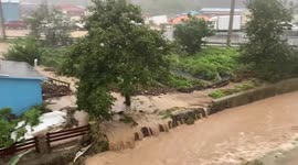 Typhoon Hinnamnor: Violent mud river flows across town in South Korea