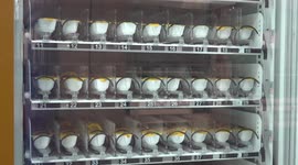 Durian vending machines installed in Bangkok for fans to enjoy the seasonal stinky fruit all year round