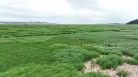 Millennium Stone Island Luoxing Pier Exposed From Poyang Lake In Jiujiang, China