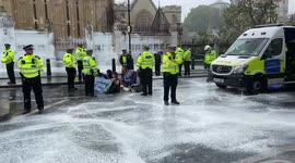 Animal Rebellion activists cover London's Palace of Westminster with paint