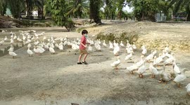 Kids having fun chasing ducks at farm in Malaysia