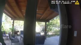 Sweet tooth wild bear raids family's kitchen to steal freshly-baked cake in California