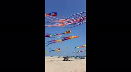 Hundreds of various-shaped kites take to sky for Vietnam's independence day