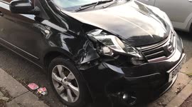 'Our car was smashed up by two randy RHINOS on safari park trip'