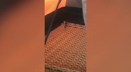 Shocked camper unwittingly sleeps next to venomous cobra inside her tent all night
