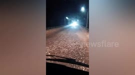 Clouds of dying mayflies swarm streets in southern China, resembling snow