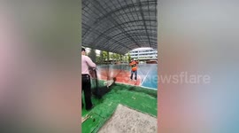 Kind teachers rescue dog tangled up in football goal net