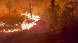 Hellish scene as wildfire burns through forest in southern Turkey
