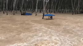 Volunteer saves villager trapped in raging monsoon floods in Thailand