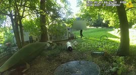 Hapless baby deer rescued twice after getting stuck in net and saw horse moments later
