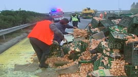 More than 100,000 eggs spread across motorway after crash