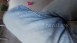 Plastic skull prank
