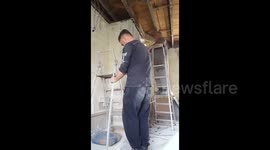 Prankster scares builder with plastic skull discovery