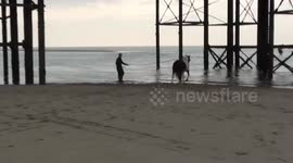 Tell me about exercising my horse in water 2