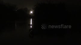 Swans night feeding