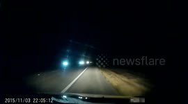 Car hits large alligator on Florida road
