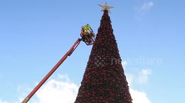 Cheshire Oaks Christmas Tree