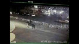 BMW ploughs into horse rider on road