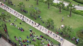 Dog skateboards through human tunnel to break world record