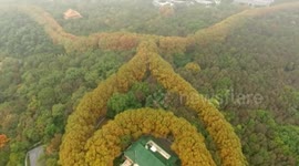 美龄宫现最美项链 被称为全世界最牛项链 与蒋介石密切相关