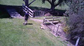 Drone crash lands after clipping man
