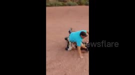 Man does doughnuts on a 'Golf Board'... falls off
