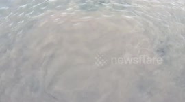 Sewage being emptied into Montreal's Saint Laurent river (Quebec,Canada)