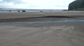Strong Winds & Blowing Sand - Downhill Beach, Nov 11th 2015