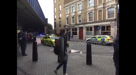 Huge Police Presence at Vauxhall Station