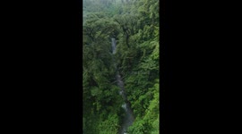 DRONE VIEW IN VERY BEAUTIFUL FOREST. SENSATIONAL