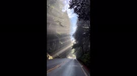 BEAUTIFUL MORNING WITH SUN AND NATURE. DIVINE WORK