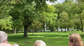 King’s Royal Artillery 96 gun salute in Hyde Park for the Queen