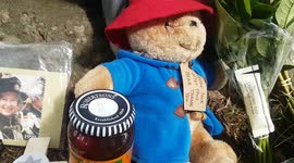 Royal Parks asks mourners to stop leaving teddy bears and jars of marmalade as tribute to Queen