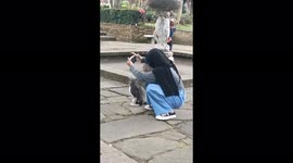 Funny selfie of a girl with a cat!