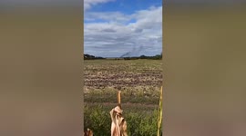 Ukrainian paratroopers shoot down large Russian Mi-24 helicopter gunship
