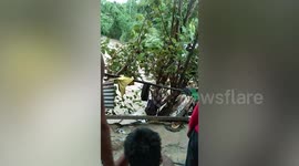 Heartbroken family watch their home dragged into raging river in the Philippines