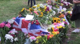 Thousands of floral tributes in London's Green Park on first Saturday following Queen Elizabeth II's death