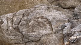 Face in the rocks Pareidolia effect in beach cliff at The Gazzle Cove Newquay Cornwall UK