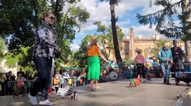 Contest for the best fancy dress at 10th sausage-dog parade in St Petersburg, Russia