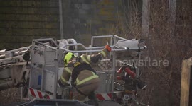 Trapped fighting seagulls turn against fireman after being rescued