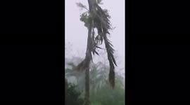 Japan: Typhoon Muifa Brings Fierce Winds To Okinawa Islands 2