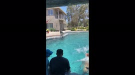 'Jolly dog hops in swimming pool and plays a funny game of Tag with his caretakers'
