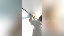 Pet owner cuts hole in bedroom ceiling to rescue stuck cat