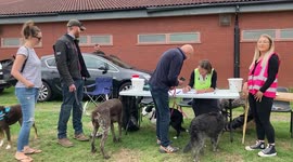 Dog lovers break world record after over 100 dogs gather to watch 101 Dalmatians at outdoor cinema