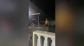 Pet Siberian Husky dog refuses to come inside house