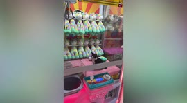 Kitten plays with colourful unicorn doll inside claw-grabbing machine
