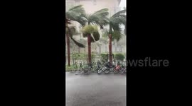 Japan: Typhoon Muifa Brings Fierce Winds To Okinawa Islands 4