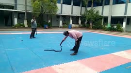 Snake sneaks into under-construction building at government college in central India, rescued