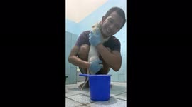 White Cat Needs a Warm Hug From Her Owner While Taking Shower